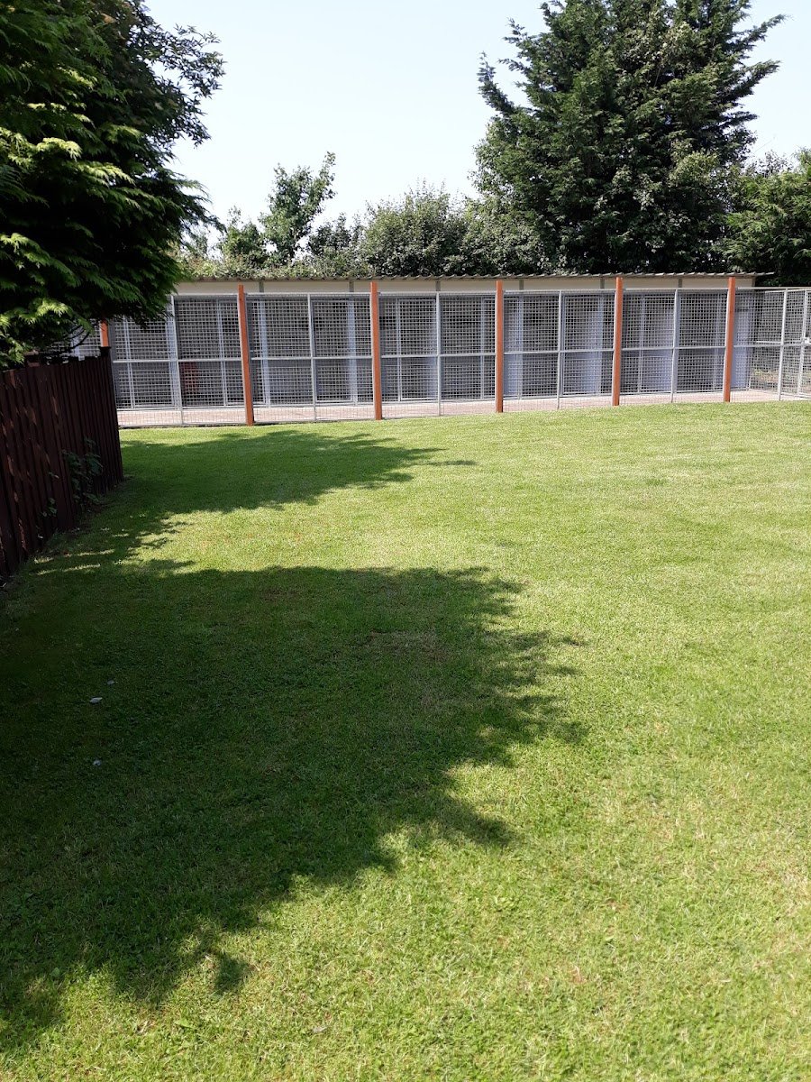 Elderberry Kennels - Photo 2
