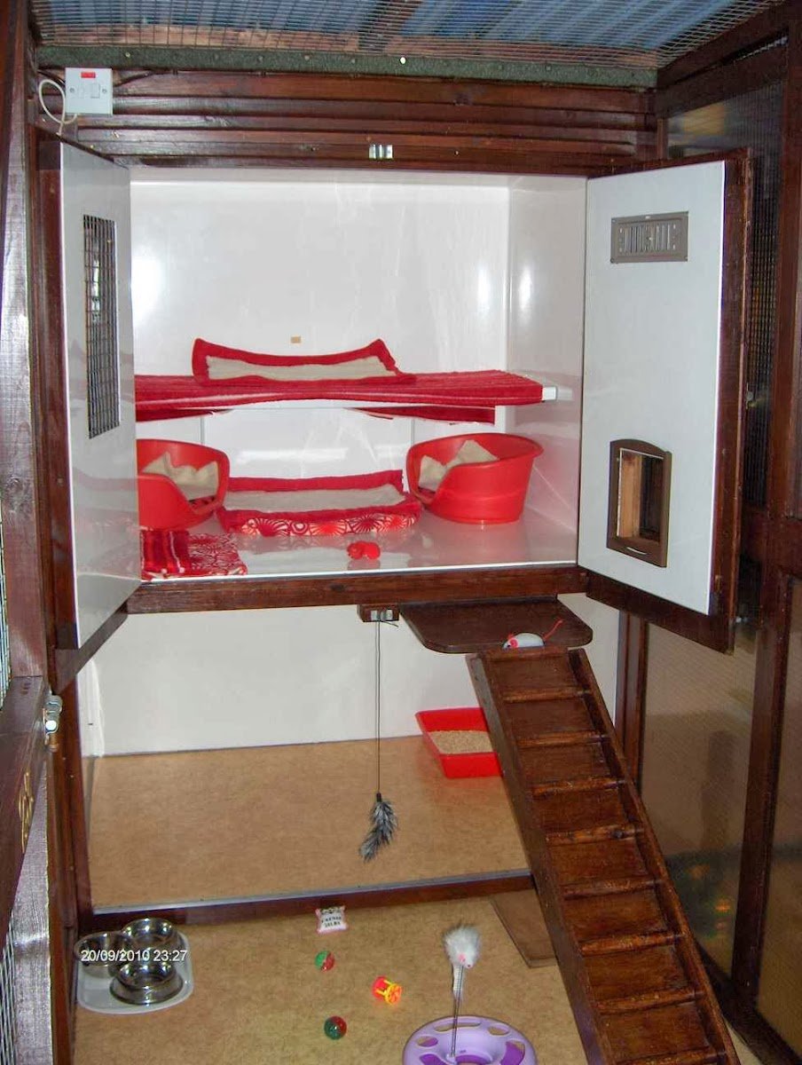 Gemima's Cattery - Photo 2