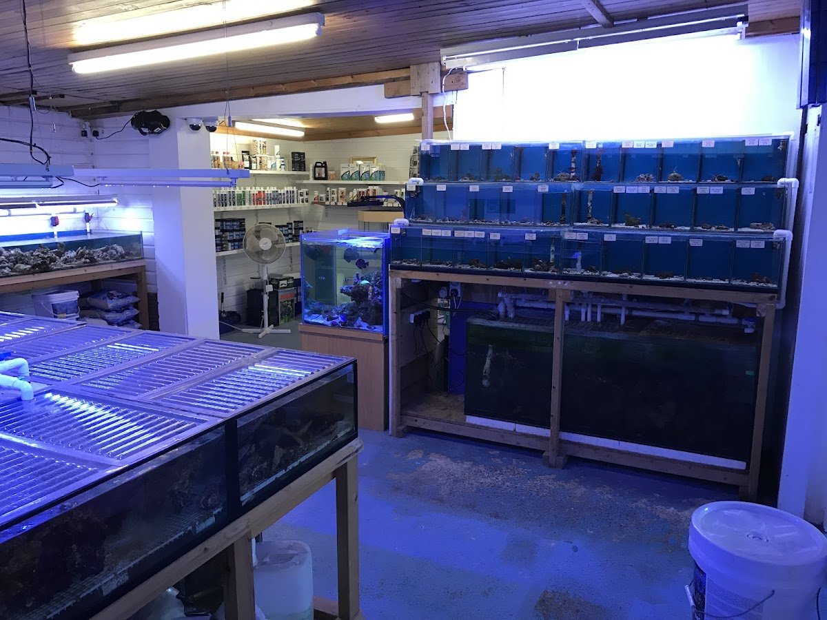 Perry's Aquatic Centre - Photo 2