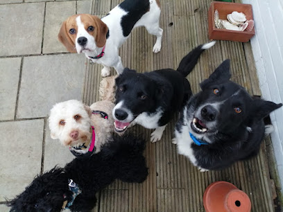 Pippin's Doggy Day Care