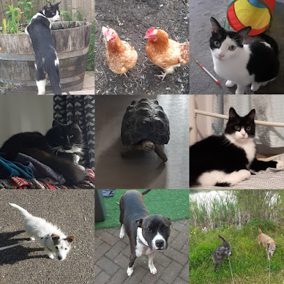 Shadow Me pet care services