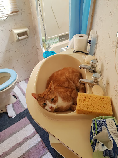 Rase Veterinary Centre - Lincoln Newark Road