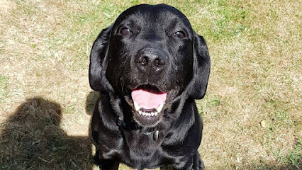 Happy pets-pet boarding