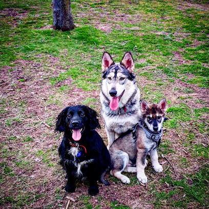 Mutts & Mischief Holistic Education and Behaviour Services