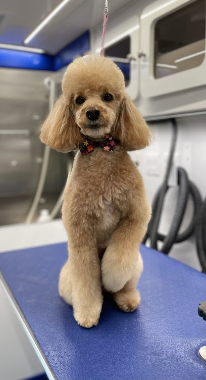 Mobil Pet Grooming by Greicis