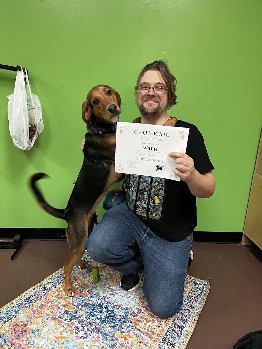 Project Paws Dog Training LLC - Photo 2