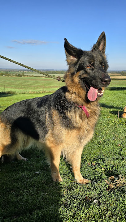 Clifftop Boarding Kennels and Cattery