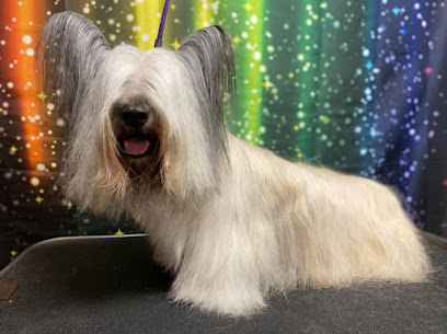 In The Dog House Dog Grooming Lincoln