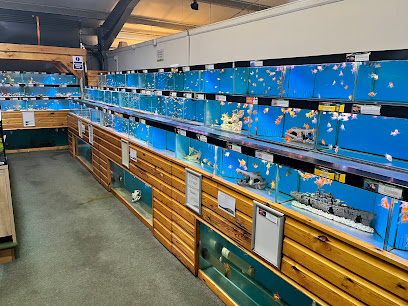 Maidenhead Aquatics Lincoln