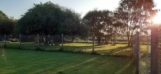 The Paddocks Boarding Kennels & Cattery