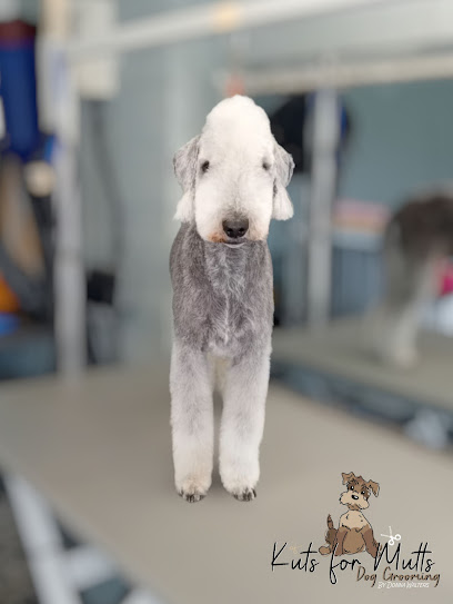 Kuts for Mutts Dog Grooming