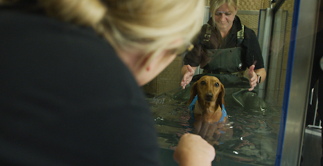 Topline Hydrotherapy