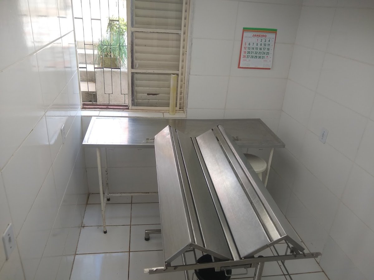 Angelo Marchiori - Médico Veterinário