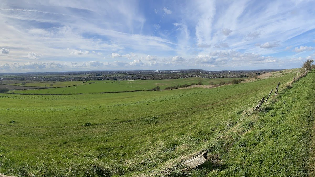 Ems Dog Walking - Photo 3