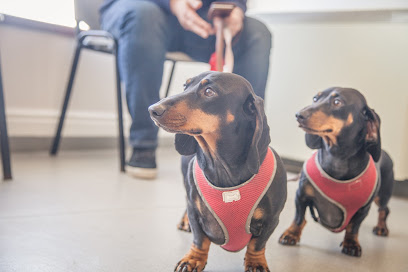 Lincvet - Wragby Road