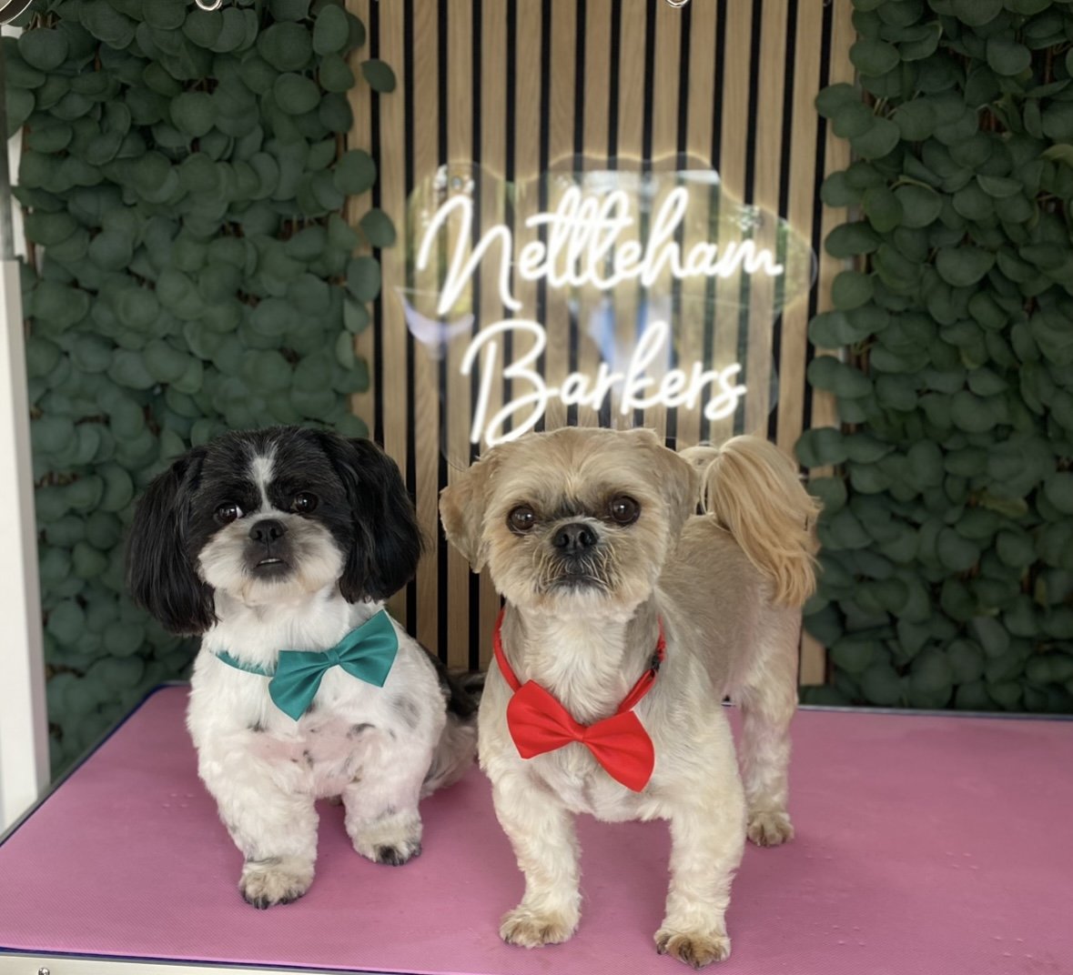Nettleham Barkers - Photo 2