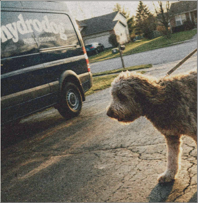 Hydrodog Apex - Pet Shop in Raleigh