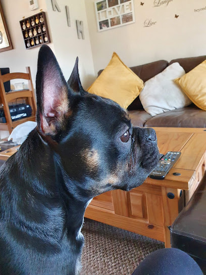 Lincolnshire Rescue Kennels