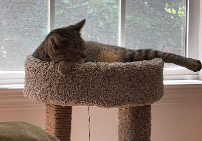 Bone·A·Fide Pet Care