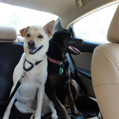 Knightdale Pet Sitting - Pet Shop in Raleigh