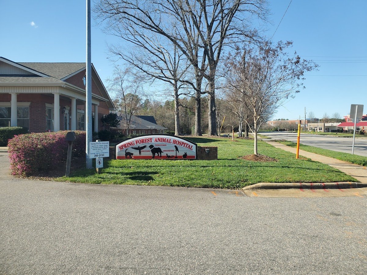 Spring Forest Animal Hospital - Photo 2