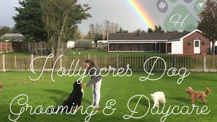 Hollyacres Dog Grooming & Daycare - Pet Shop in Blackpool