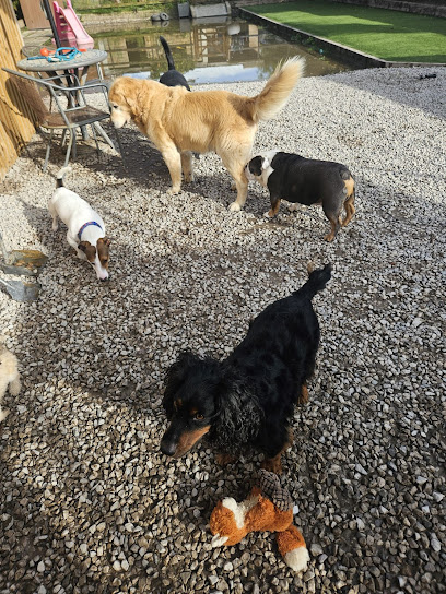Westway Kennels - Pet Shop in Blackpool