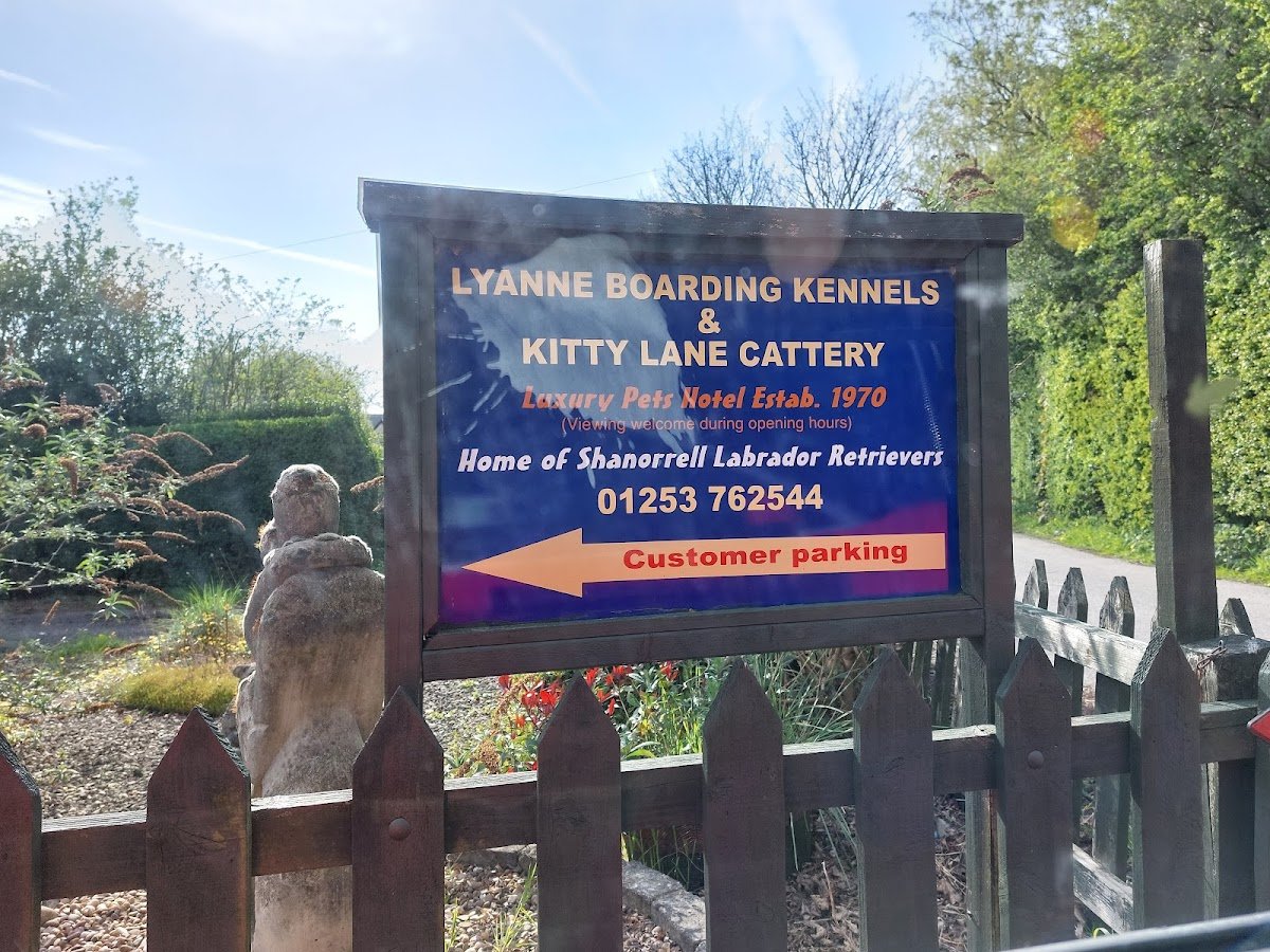 Lyanne Boarding Kennels - Photo 2