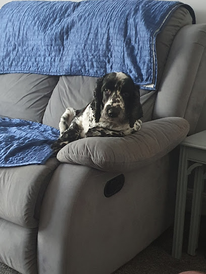 PDSA Pet Hospital - Pet Shop in Blackpool