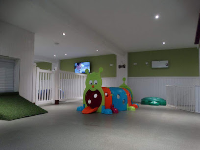 Balmoral Kennels and Cattery - Pet Shop in Blackpool