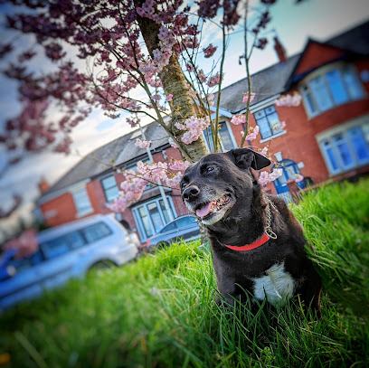 Alpha Veterinary Centre - Pet Shop in Blackpool