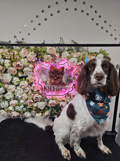K9 Fairy LTD - Pet Shop in Blackpool
