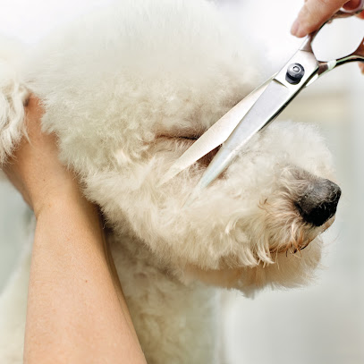 Spoilt Rotten Grooming - Mobile Dog Groomer Blackpool - Pet Shop in Blackpool
