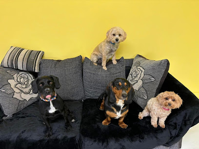 The Wag Nanny - Pet Shop in Blackpool