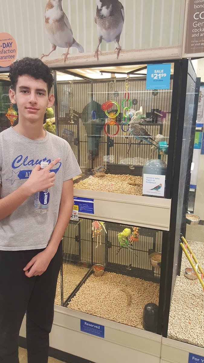 PetsHotel Raleigh - Photo 2