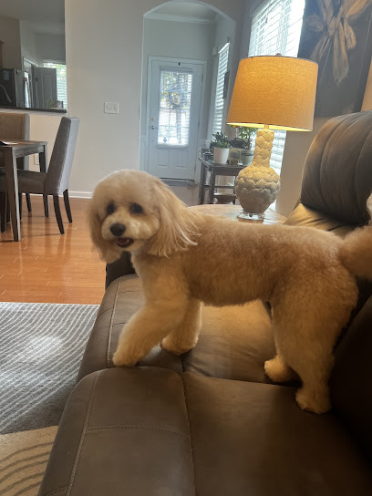 Furry Land Raleigh-Durham, NC