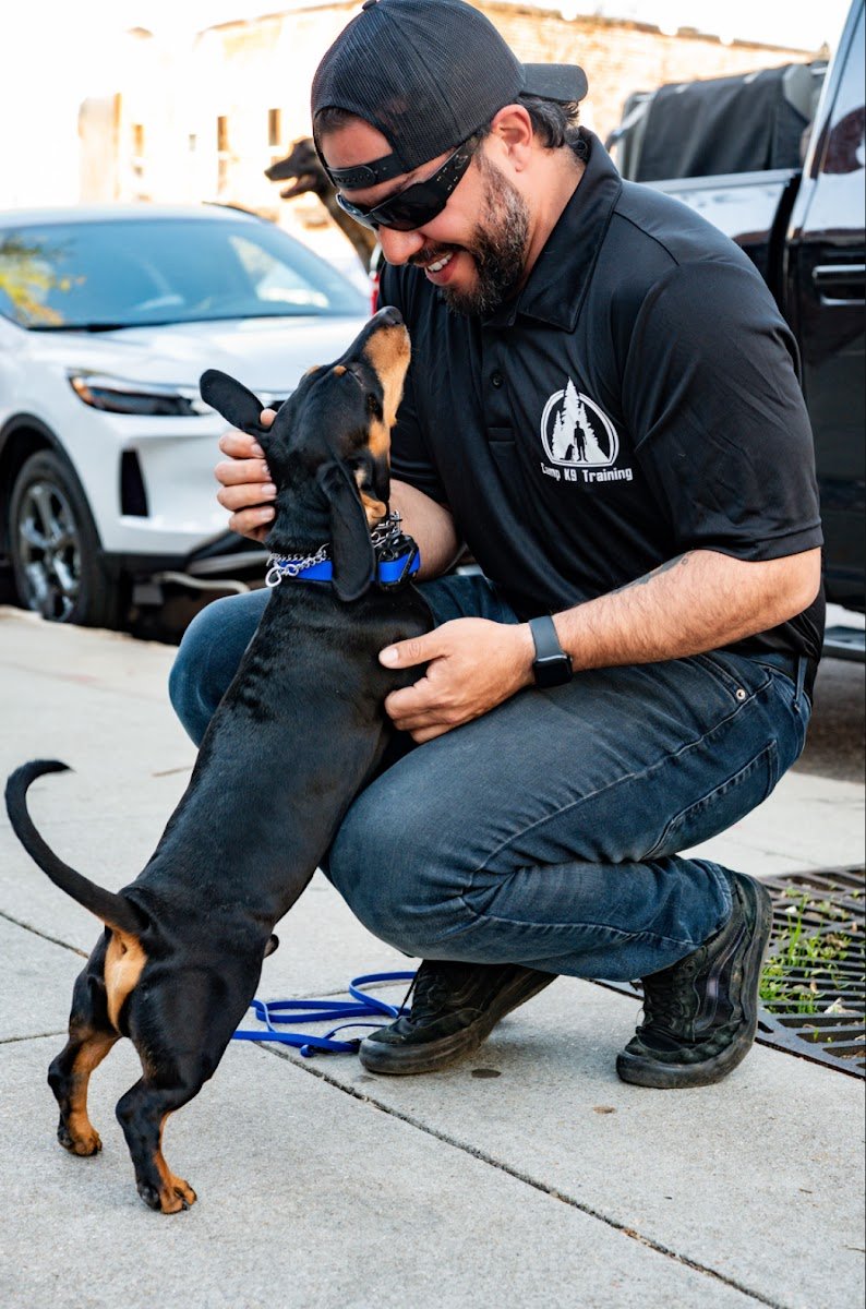 Camp K9 Training - Photo 2