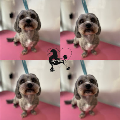 Groomingdales - Pet Shop in Blackpool