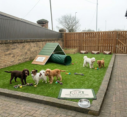 Holly Wood Hounds - Pet Shop in Blackpool