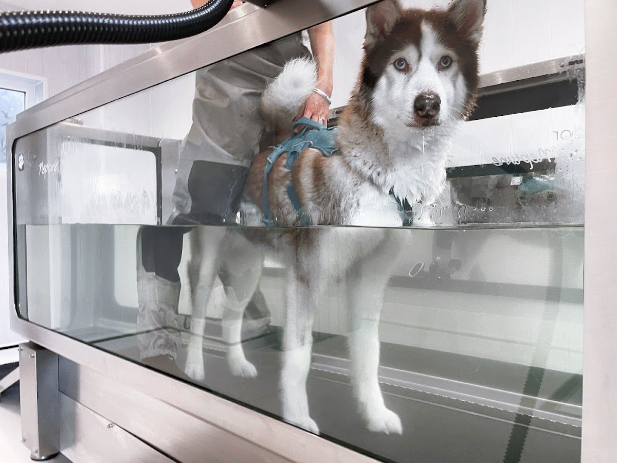 Willow's Hydrotherapy Ltd - Photo 2
