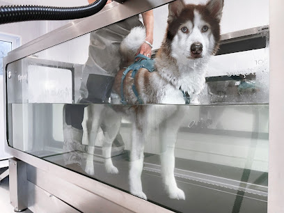 Willow's Hydrotherapy Ltd - Pet Shop in Blackpool