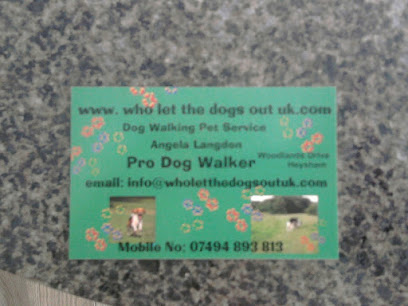 Who let the dogs out - Pet Shop in Blackpool