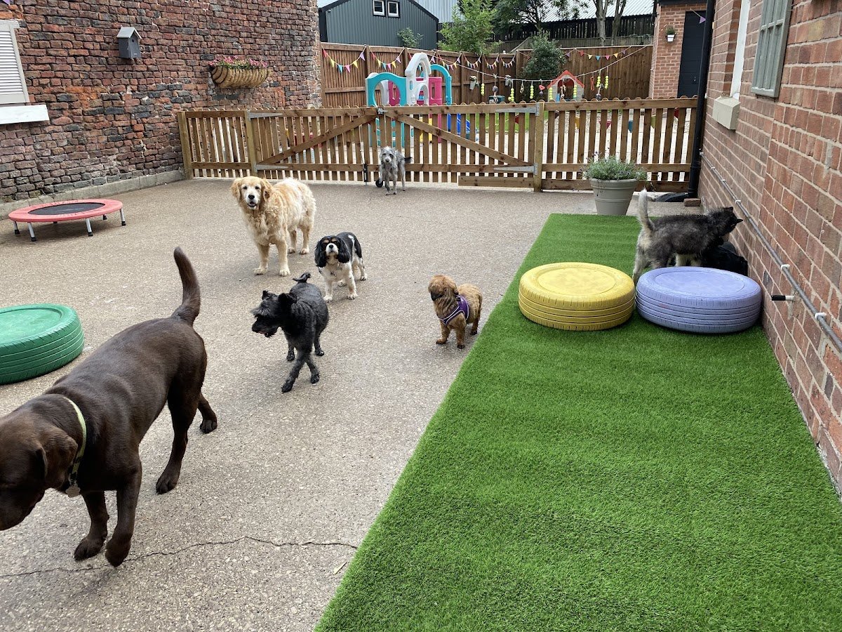 Fylde Dog Crèche - Photo 2