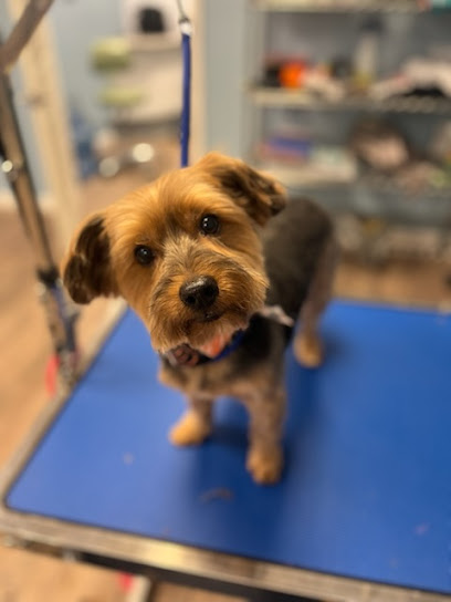 Wakefield Pet Spa - Pet Shop in Raleigh