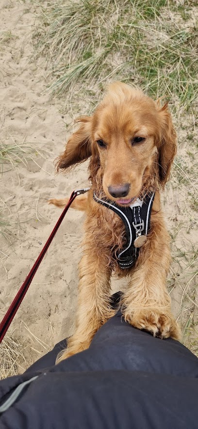 Furry Footsteps Formby - Pet Shop in Blackpool