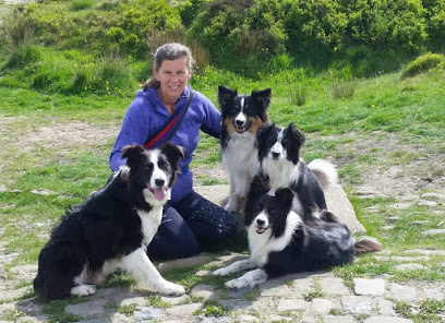 Elite K9 Dog Walking and Training Services - Pet Shop in Blackpool