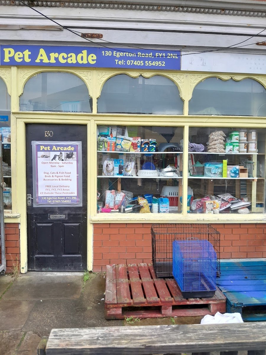 Pet Arcade - Photo 2