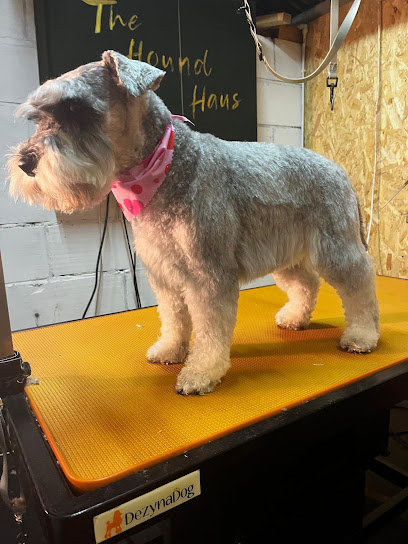 The Hound Haus - Pet Shop in Blackpool