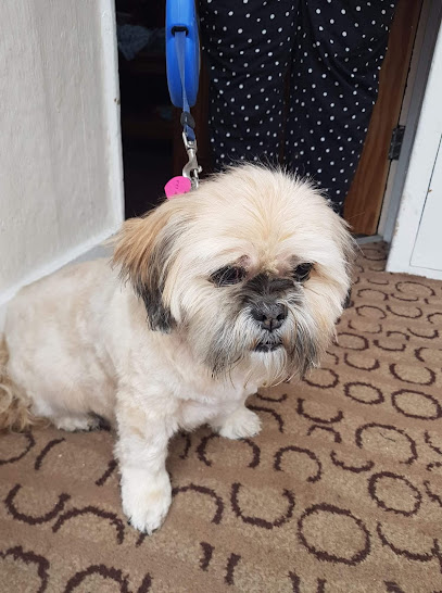 Dena's dog grooming (Mobile dog grooming) - Pet Shop in Blackpool