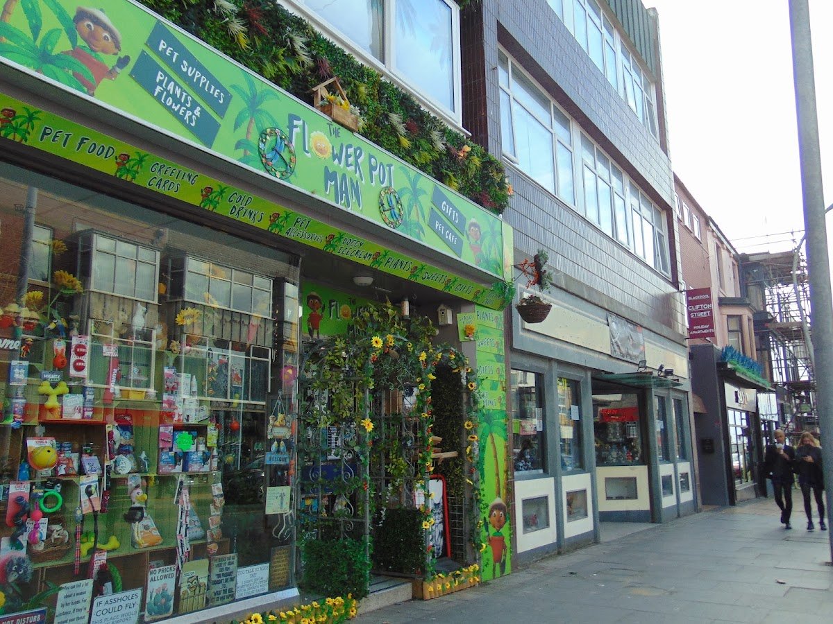 Flower Pot Man - Photo 2